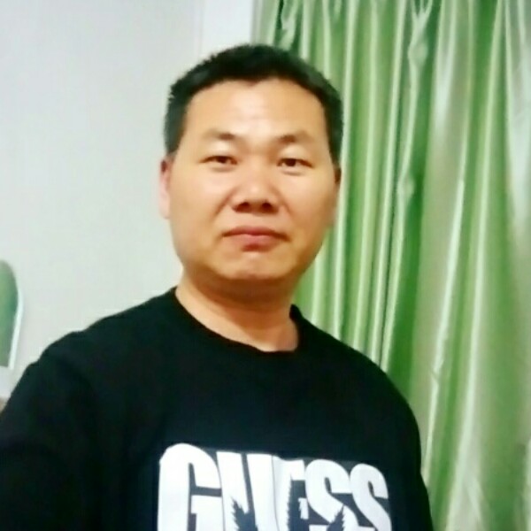 风中闻小海豚的照片