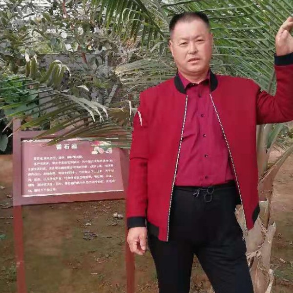 难过蹁跹手机的照片