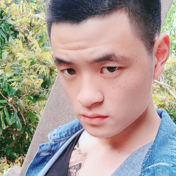 红尘少年的照片