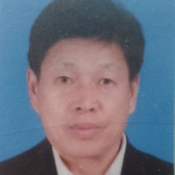 忧伤凝眸金毛的照片