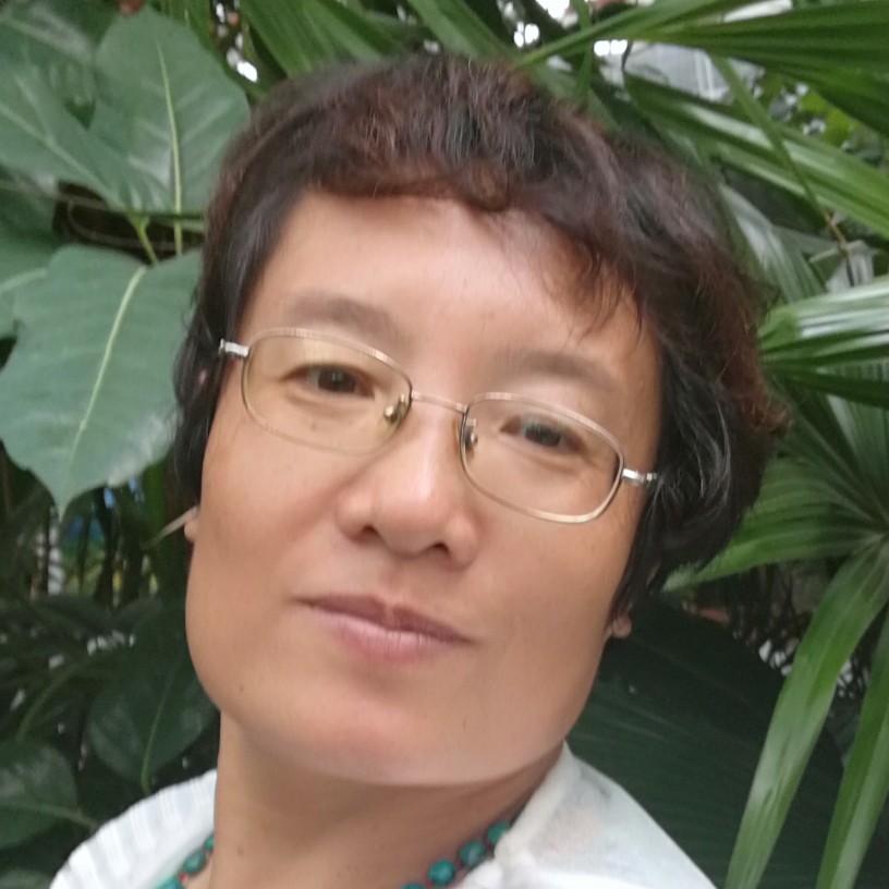 苹果挽手樱桃的照片