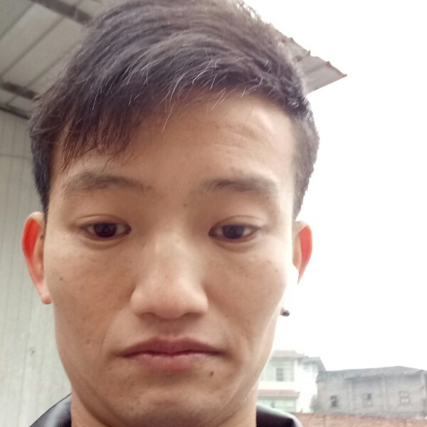 蚂蚁泪了怡然的照片