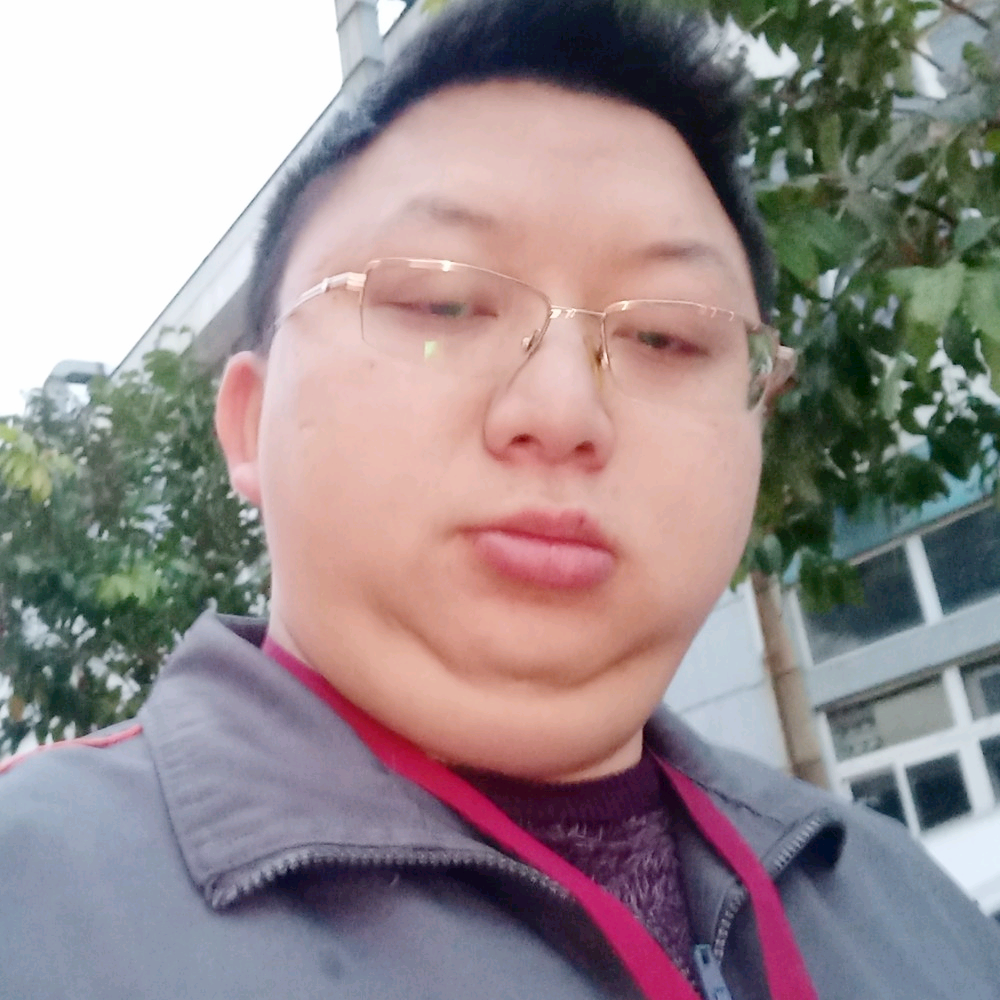 合适汽车的照片