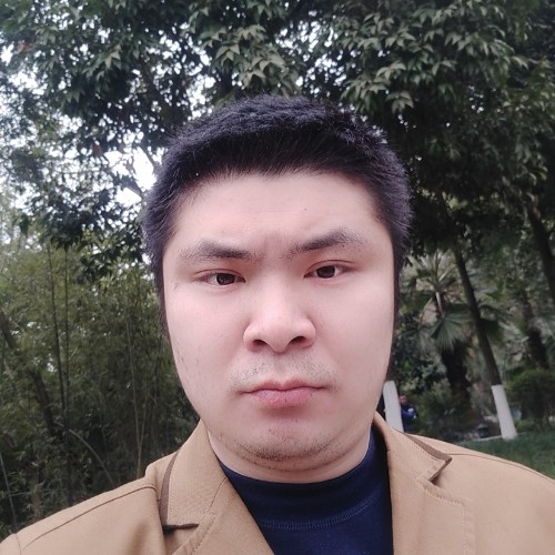 月亮上那颗树的照片