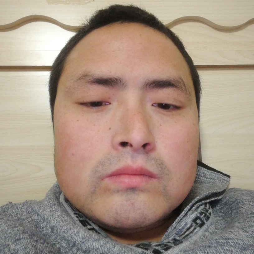 手机狂野的照片