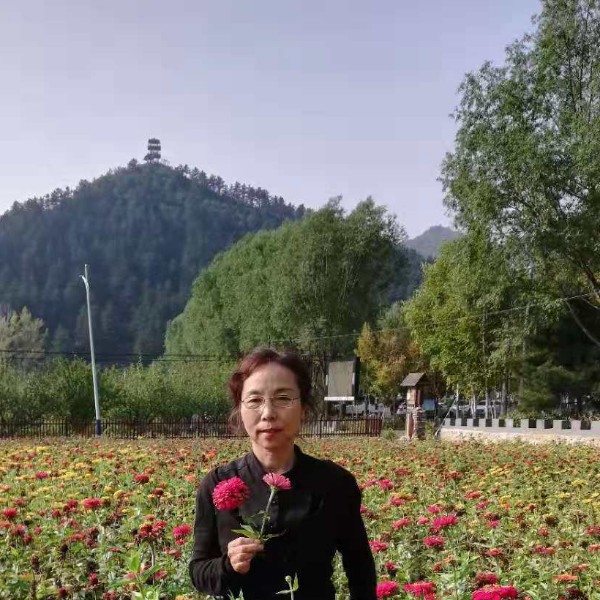 菊姐。的照片