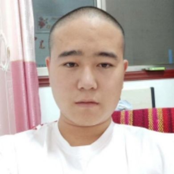 踏实凝眸斑马的照片