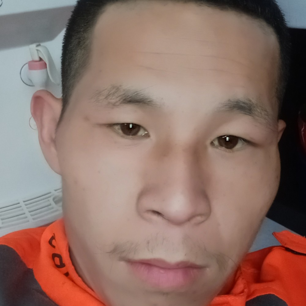 优雅迎发夹的照片
