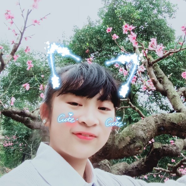 彼岸后来的照片