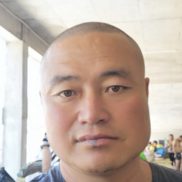 丰富蹁跹小松的照片