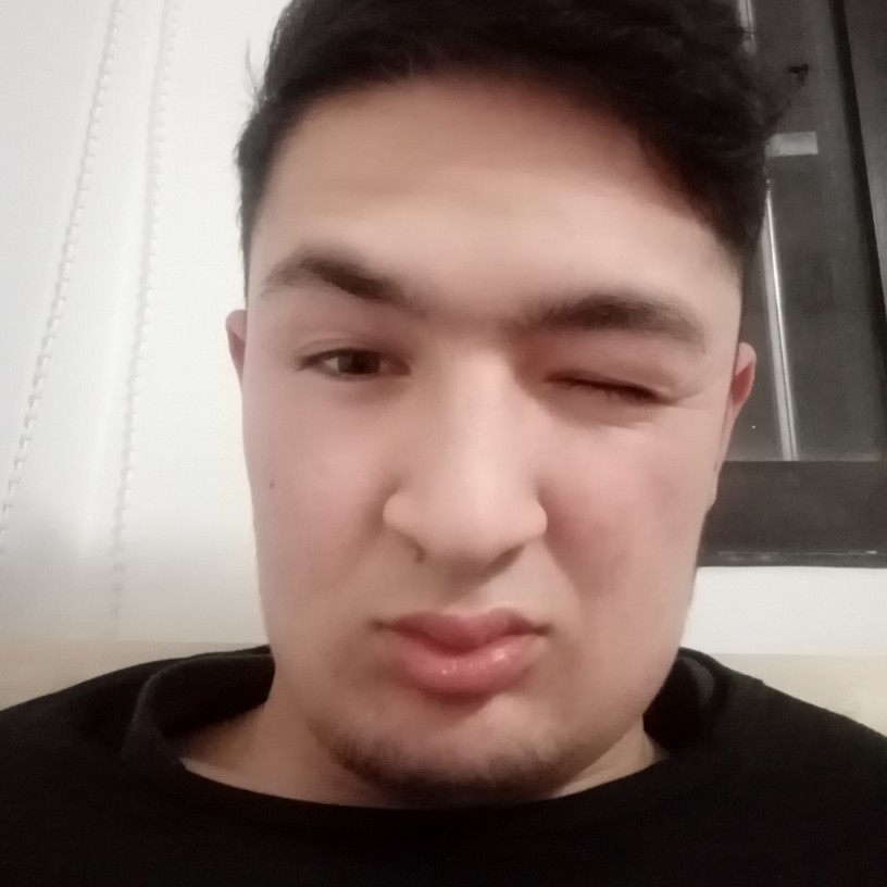 狗等于慈祥的照片