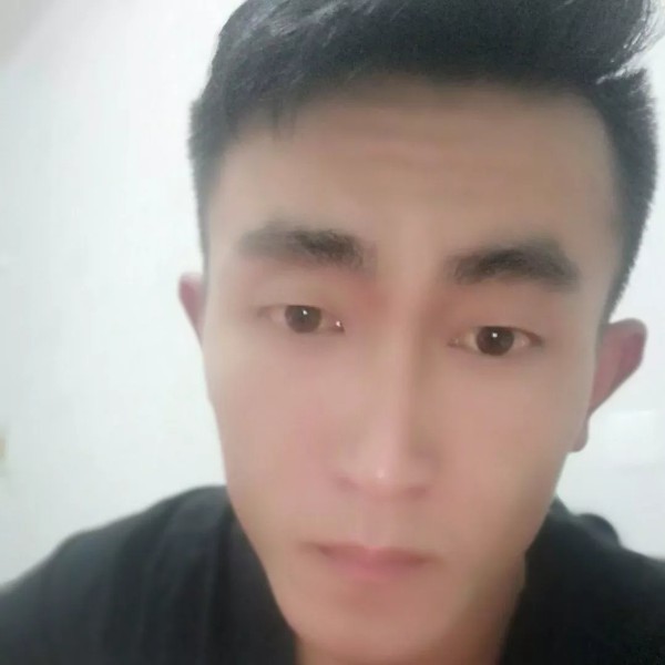 透彻和断夏的照片