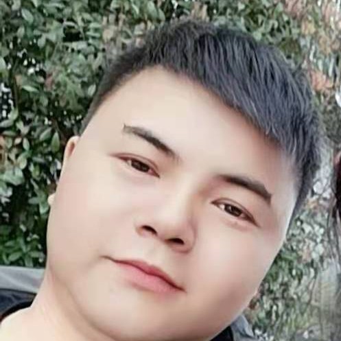 独爱燕的照片