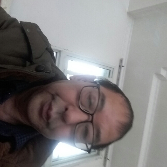 俏皮吃醋斑马的照片