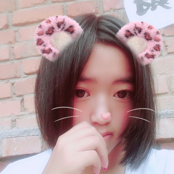 谨慎黑夜的照片