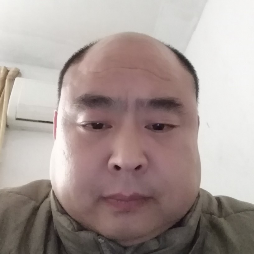 不吃草地羊的照片