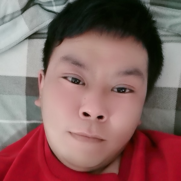 美好倾心玫瑰的照片