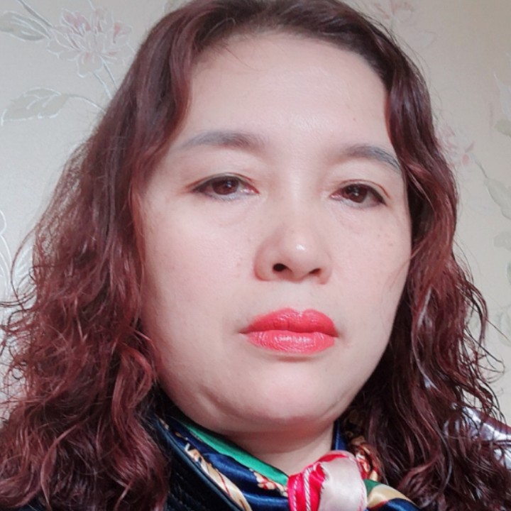 康乃馨蹁跹殷勤的照片