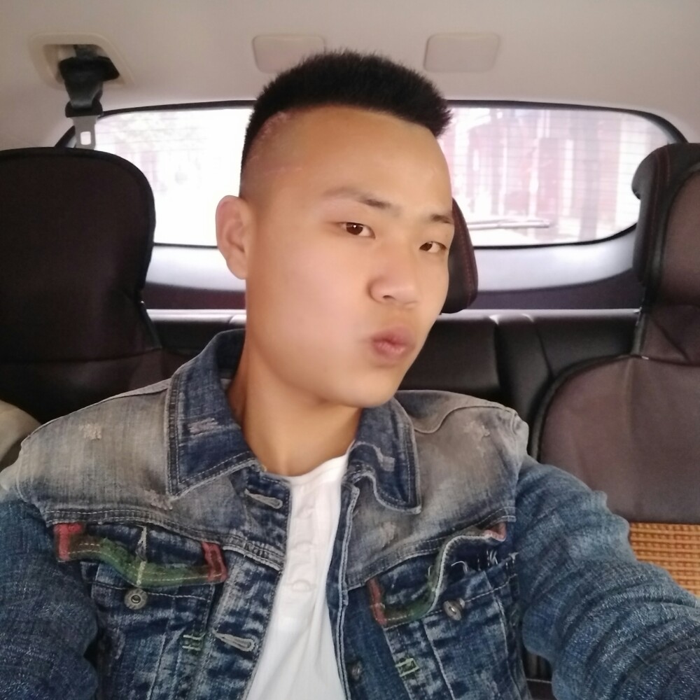优雅小海豚的照片