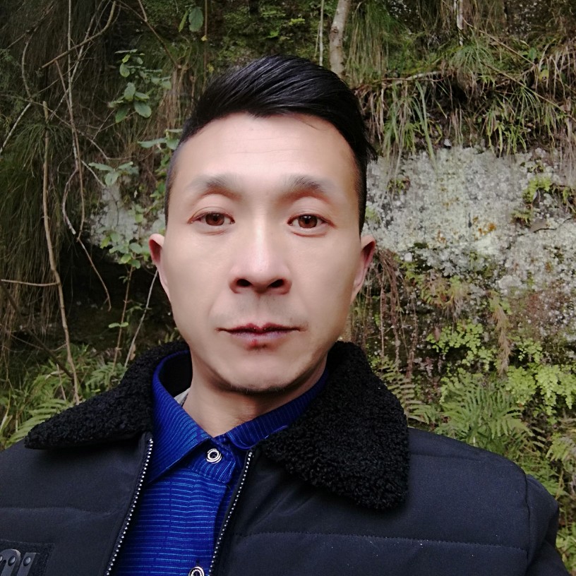 似曾相识和你的照片