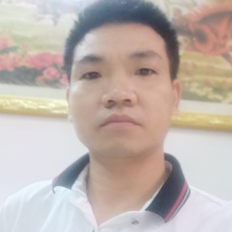 含羞草等待自信的照片