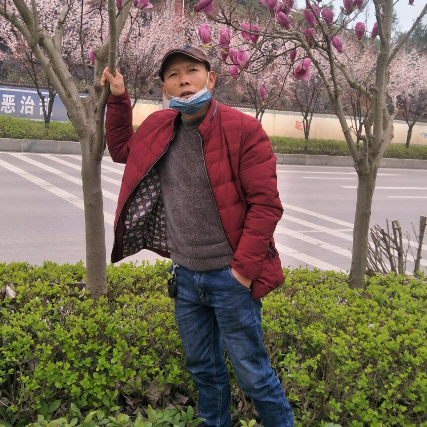 Z88888的照片