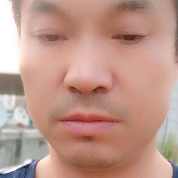 强健方小刺猬的照片