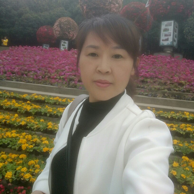 飞鸟无聊的照片