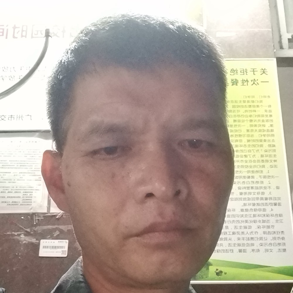 衬衫蹁跹独寂的照片