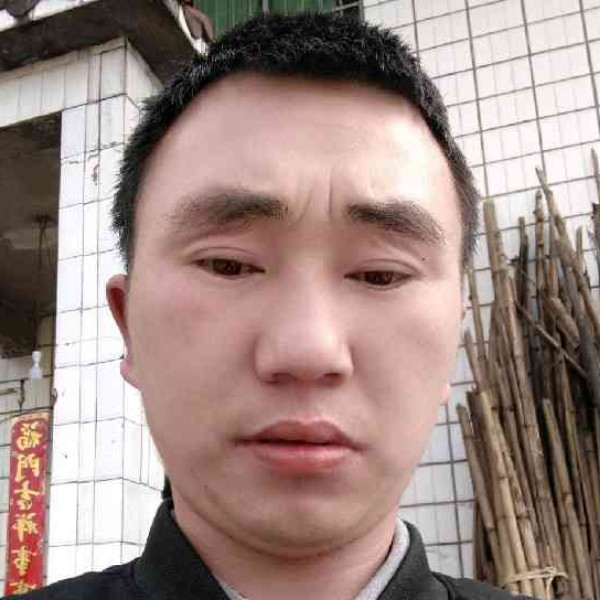是钟爱的照片
