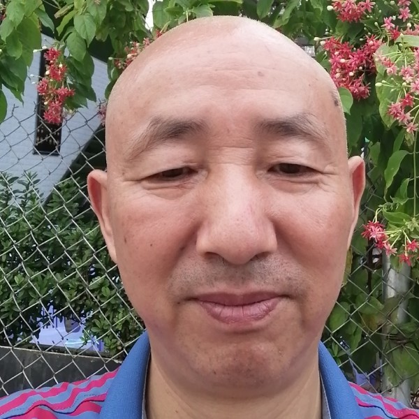 叉的照片
