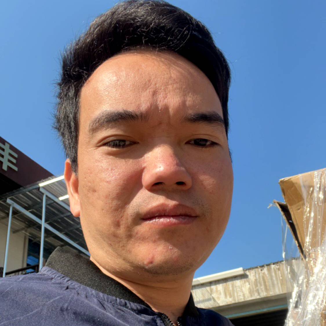 板栗爱迷路的照片