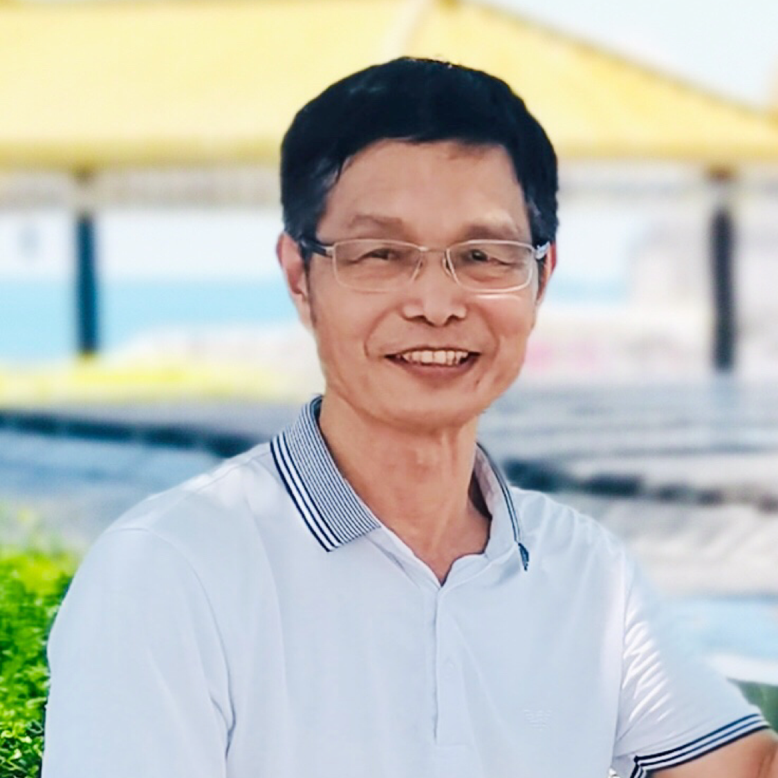 仙人掌生活
