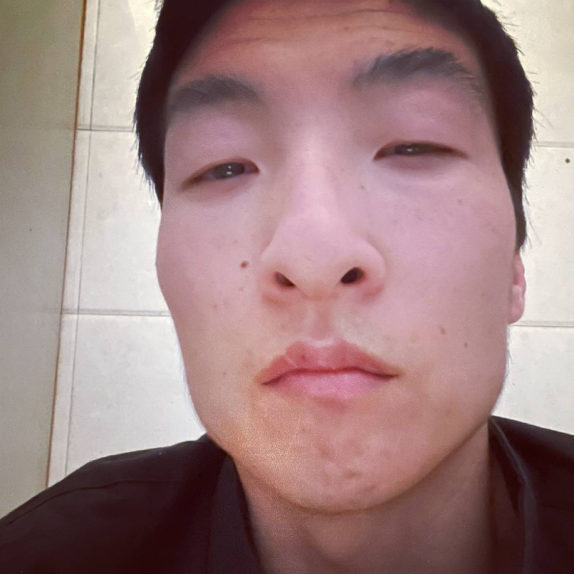 踏实蹁跹仙人掌的照片