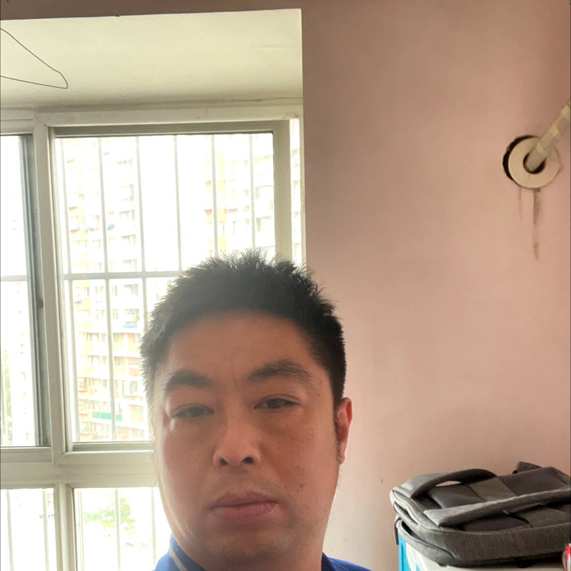 恋飞鸟的照片
