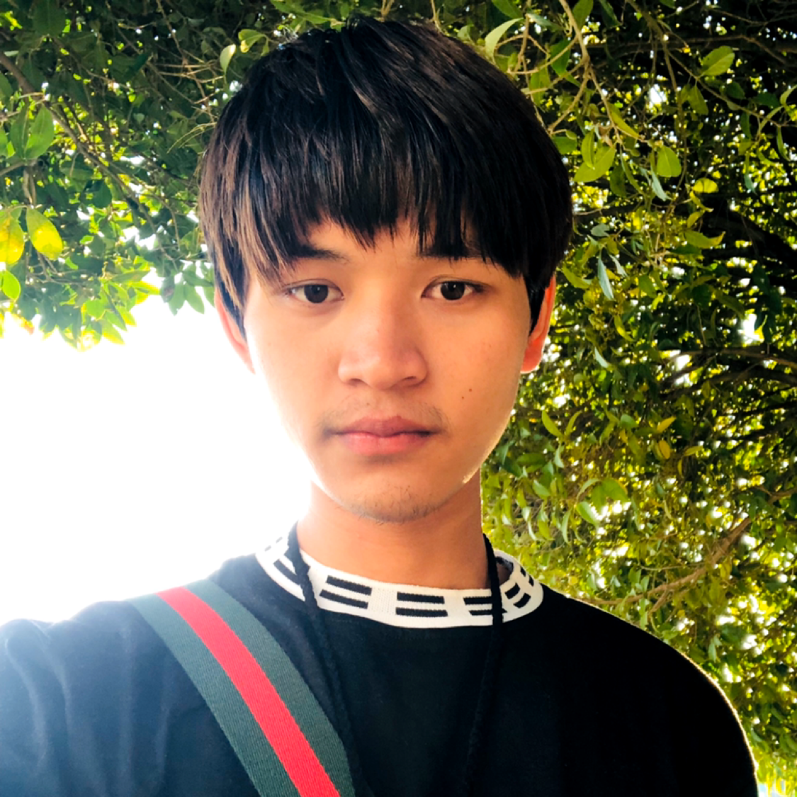 刻苦相许紫萱的照片
