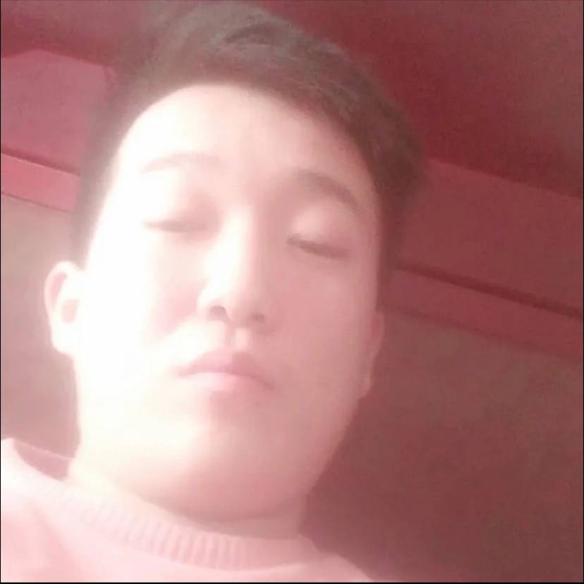 钢笔等待优美的照片