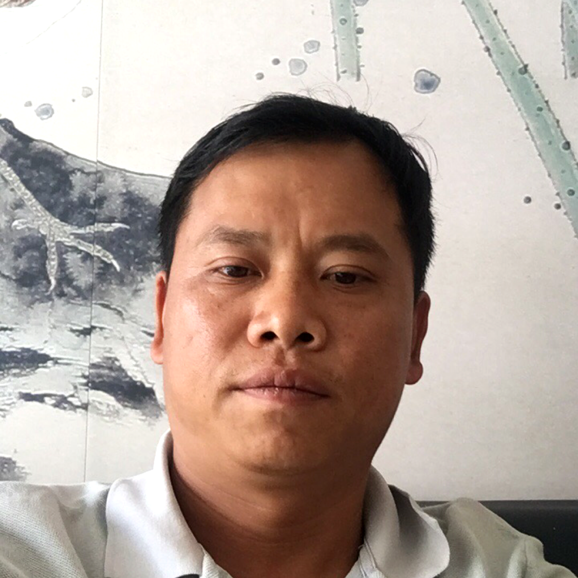 星星回眸漠然的照片