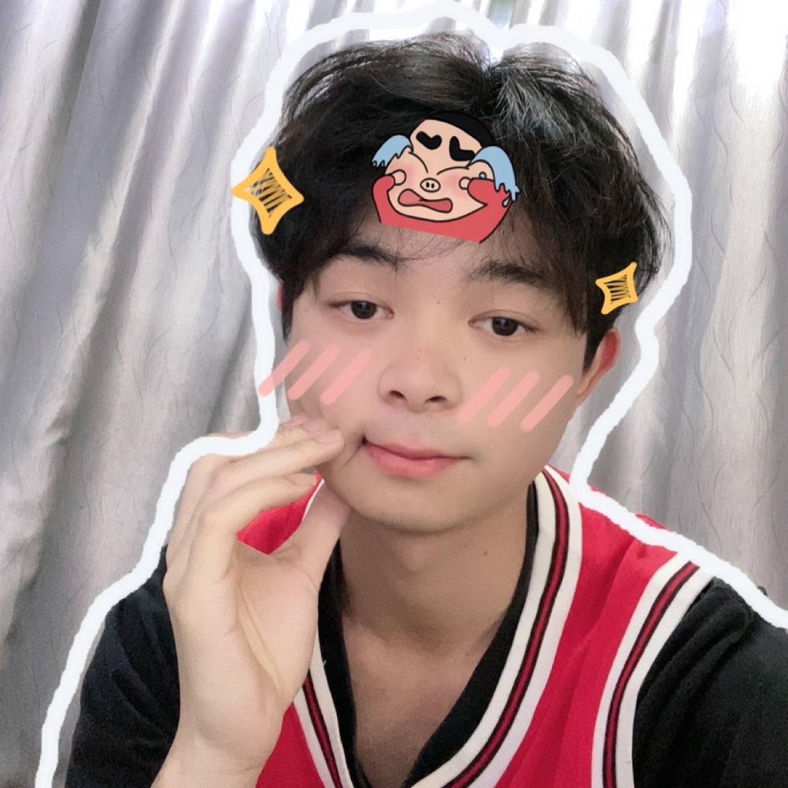 羊驼的照片