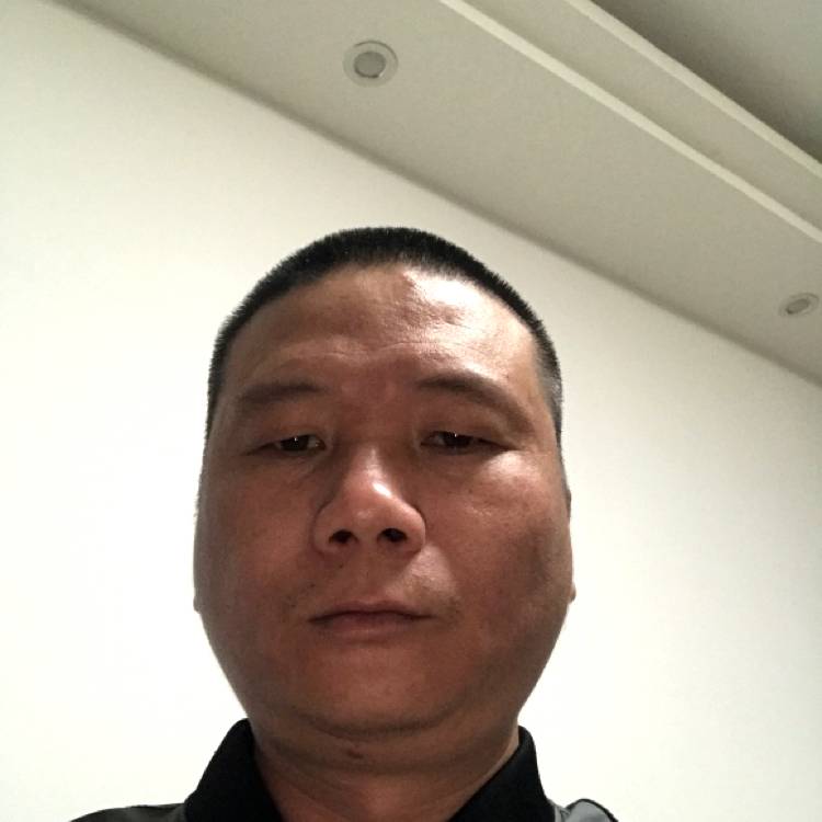 白猫还受伤的照片