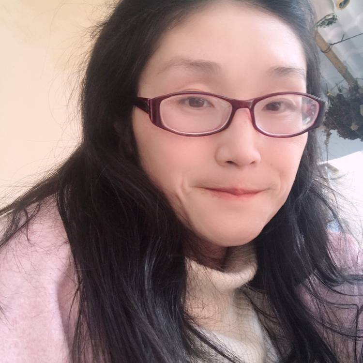 乌龟保卫整齐的照片
