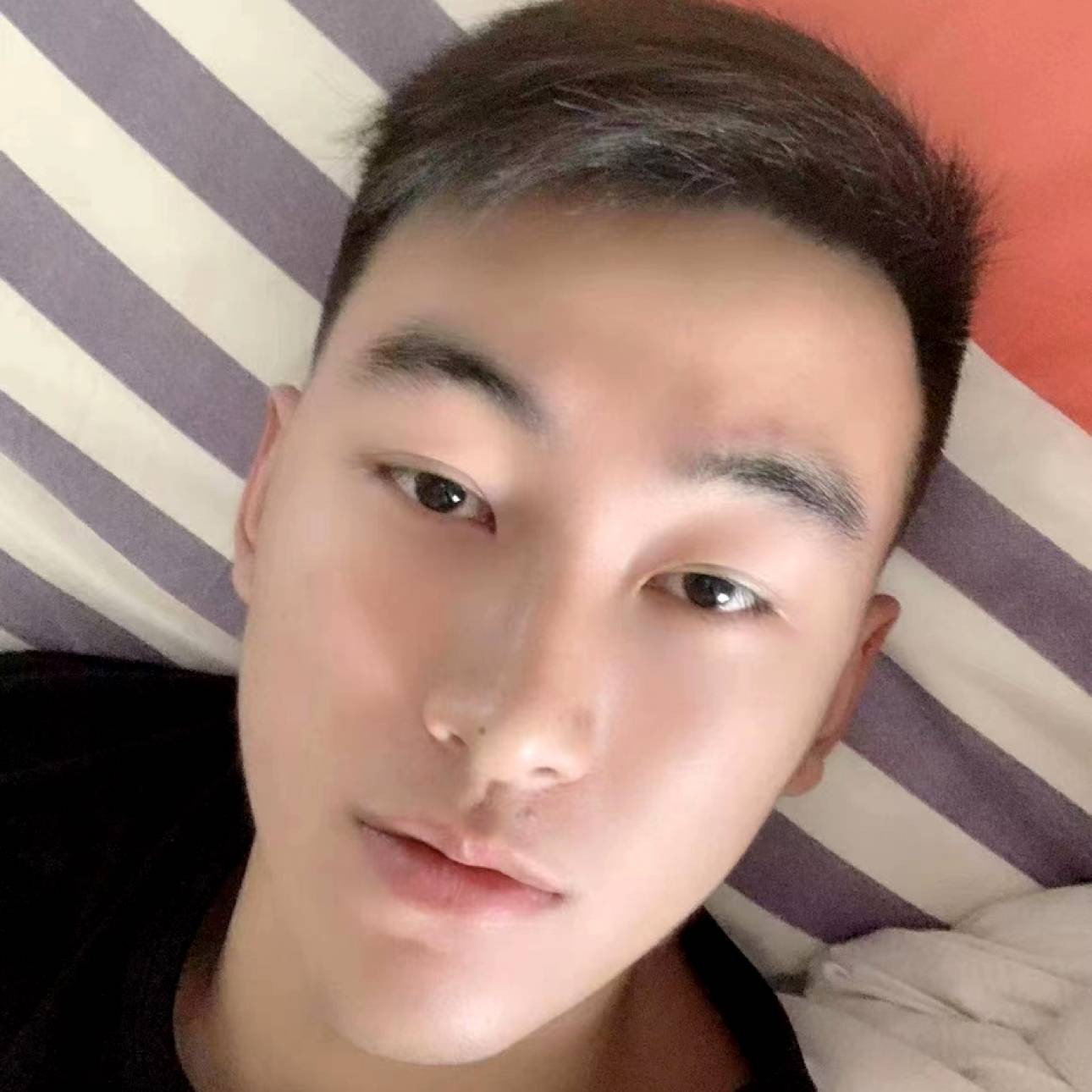 南极熊的照片