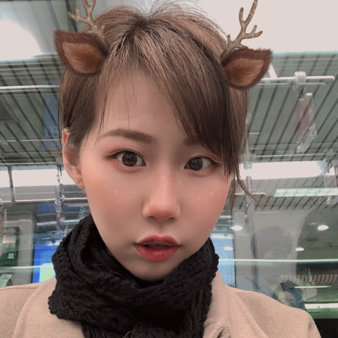 颐和花季的蓝天的照片
