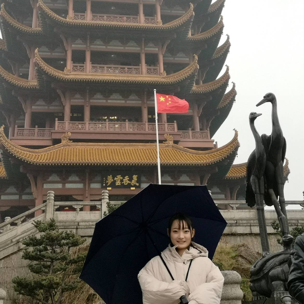 BFY步步的照片