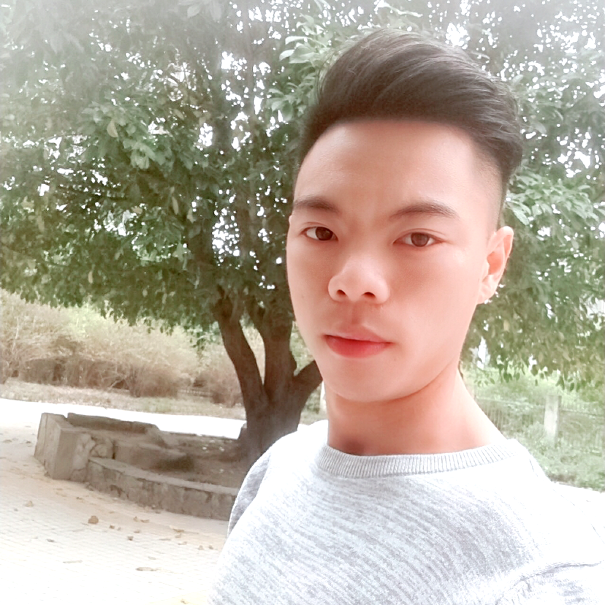 不再……的照片