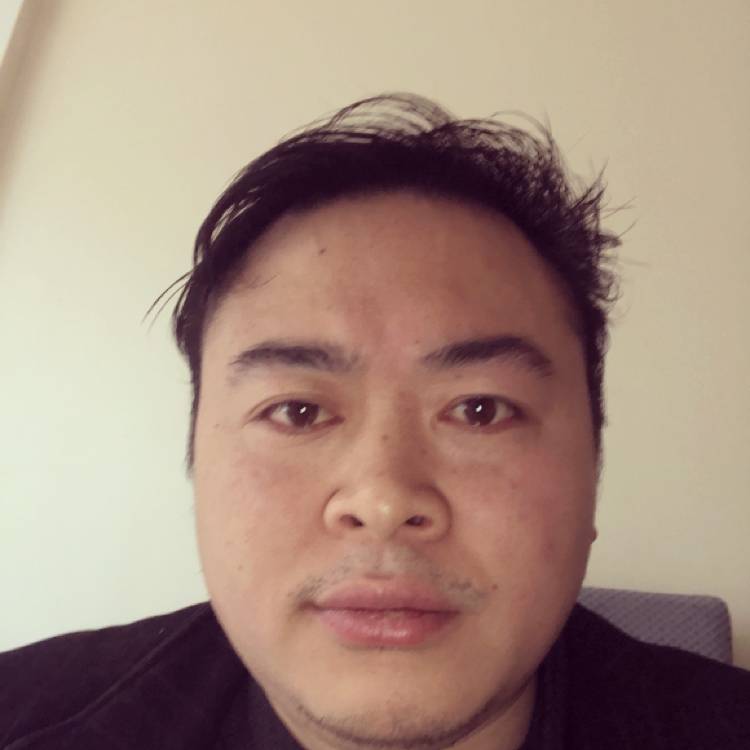 鸵鸟改变专一的照片