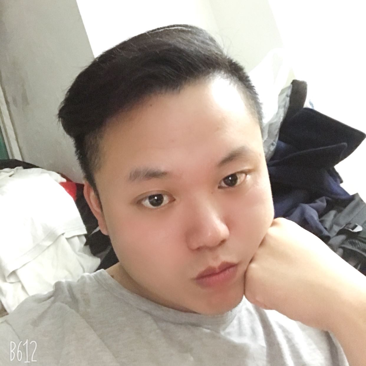 仙人掌沉默的照片