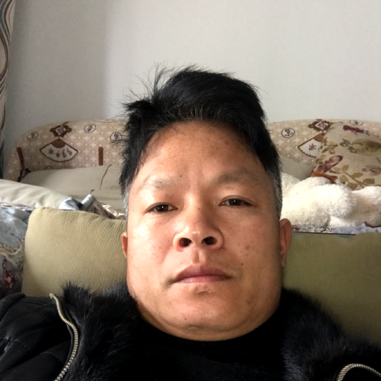 狼的照片
