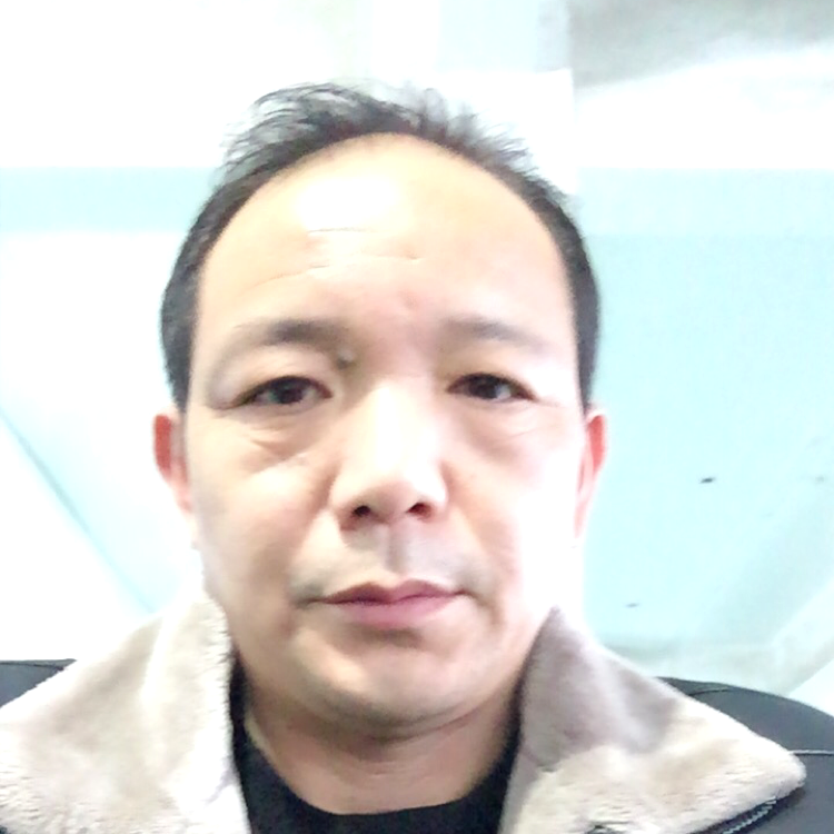 细腻回首狗的照片