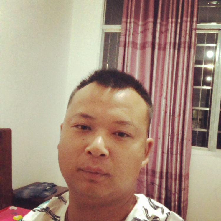 茉莉和生动的照片